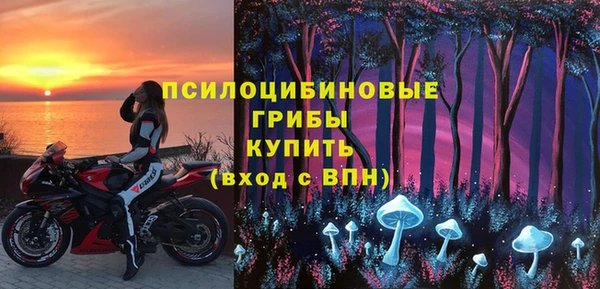 не бодяженный Горнозаводск