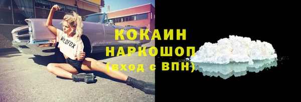 кокс Гусев