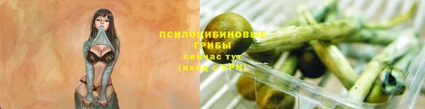 не бодяженный Горнозаводск
