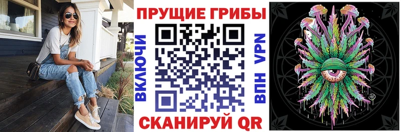 Псилоцибиновые грибы мухоморы  Купить закладки  Кинель 
